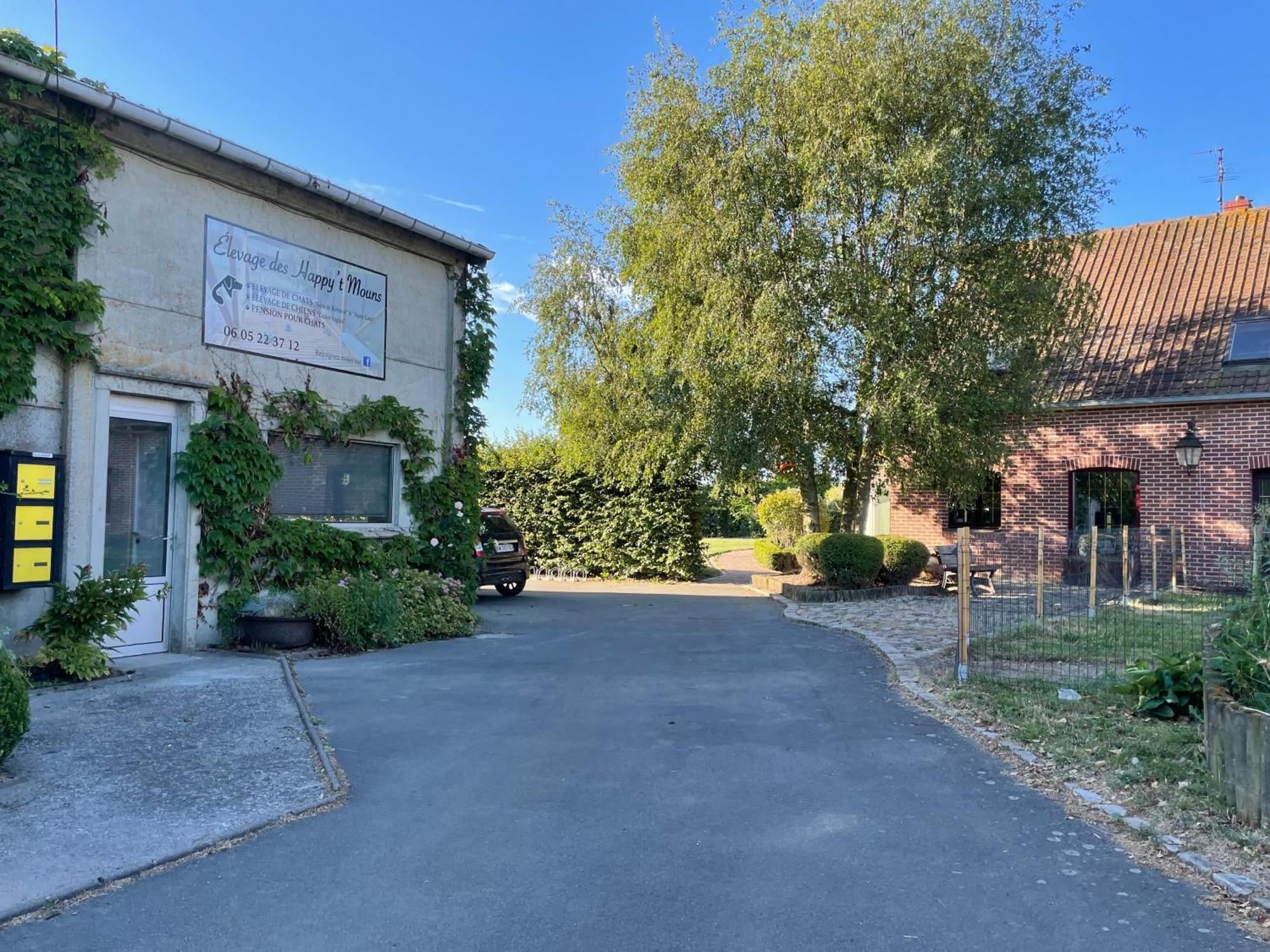 La Ferme Du Paradis Merris Exteriör bild