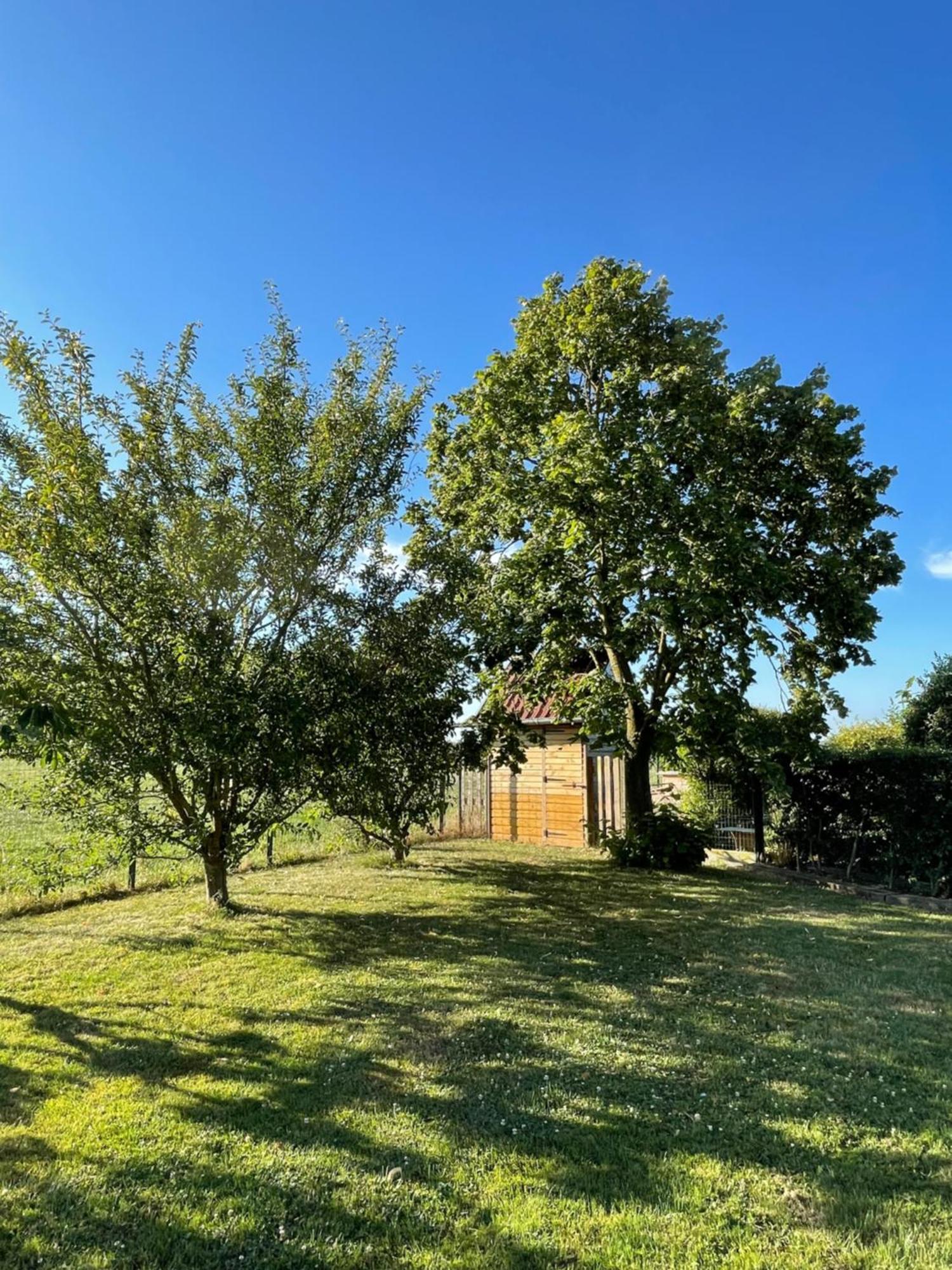 La Ferme Du Paradis Merris Exteriör bild